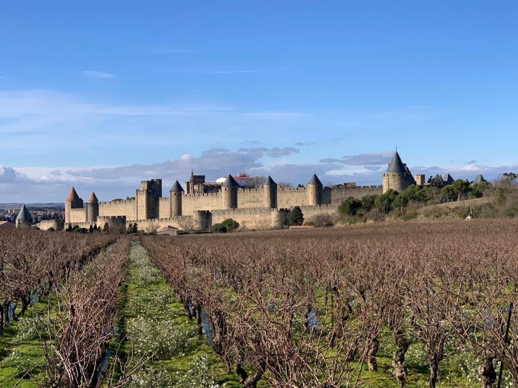 La Cour Carree Bed and Breakfast Carcassonne Esterno foto